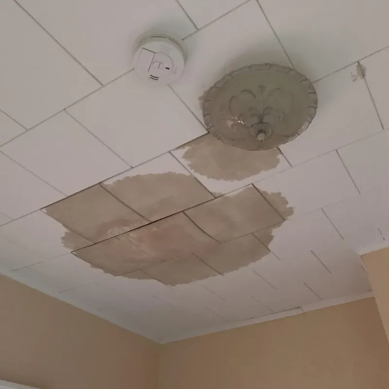 Ceiling Water Damage Repair in South Temple, PA