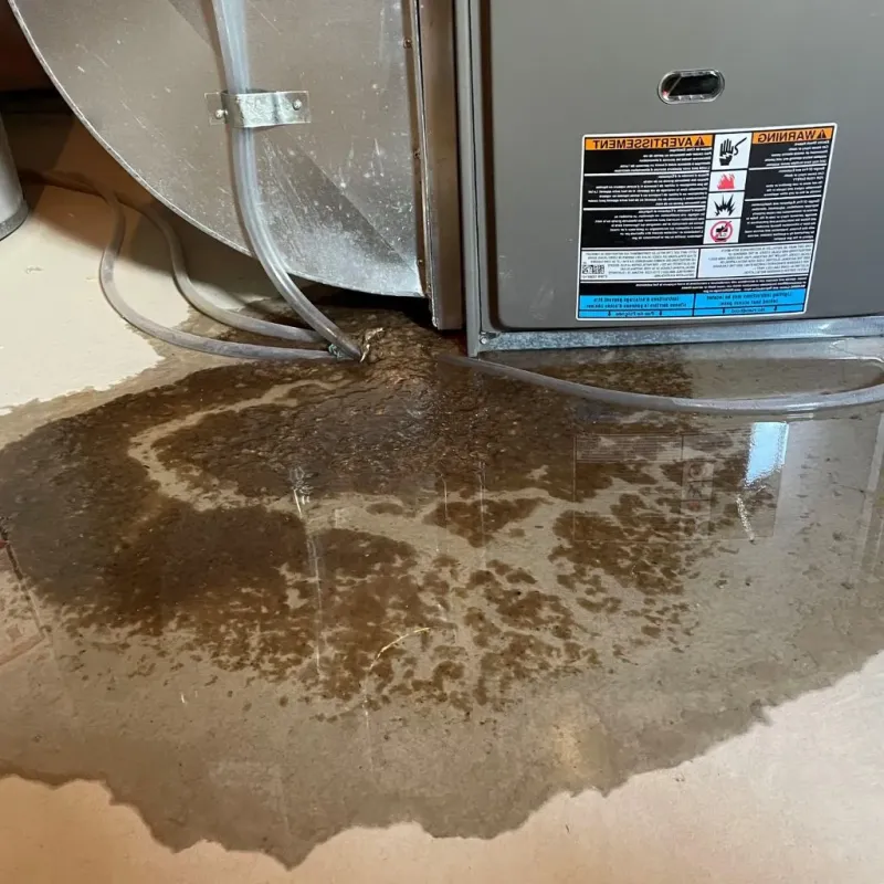 Pipe Burst and Leak Restoration in South Temple, PA