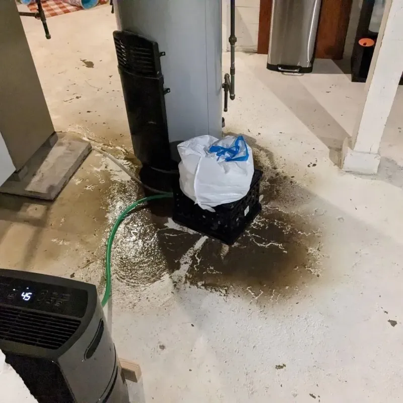 Sewage Backup Cleanup Service in South Temple, PA
